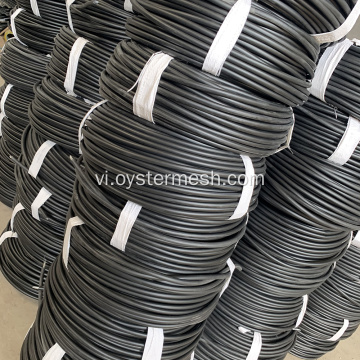Dòng sản phẩm nuôi trồng thủy sản hải sản bền vững